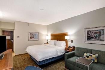 Room, 1 King Bed, Accessible, Bathtub (Mobility & Hearing)