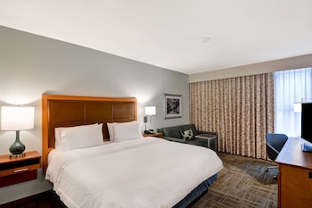 Room, 1 King Bed, Accessible, Bathtub (Mobility & Hearing)