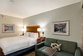 Room, 1 King Bed, Accessible (Roll-In Shower, Mobility & Hearing)