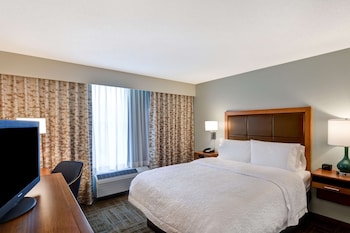 Room, 1 King Bed, Accessible (Roll-In Shower, Mobility & Hearing)