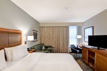 Room, 1 King Bed, Accessible, Bathtub (Mobility & Hearing)