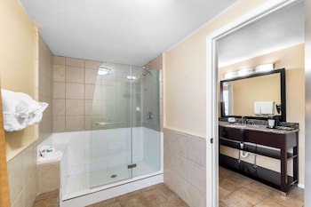Suite, 1 King Bed, Non Smoking (Living Room;Walk-in Shower)