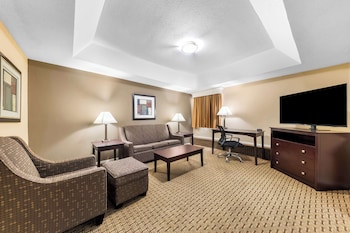 Suite, 1 King Bed, Non Smoking (Living Room;Walk-in Shower)