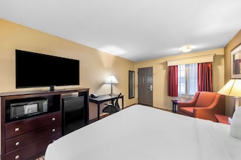 Standard Room, 1 King Bed, Accessible, Non Smoking (Walk-in Shower)