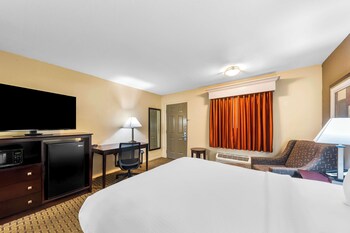 Standard Room, 1 Queen Bed, Accessible, Non Smoking (Walk-in Shower)
