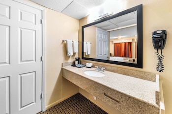 Standard Room, 1 Queen Bed, Accessible, Non Smoking (Walk-in Shower)