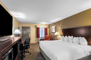 Standard Room, 1 King Bed, Accessible, Non Smoking (Walk-in Shower)