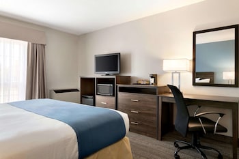 Business Room, 1 King Bed, Non Smoking, Ground Floor