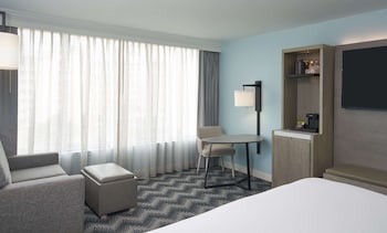 Room, 1 King Bed