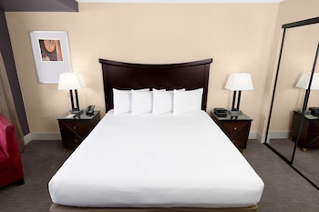 Room, 1 King Bed, Accessible, Bathtub (Mobility/Hearing, Skyline View)