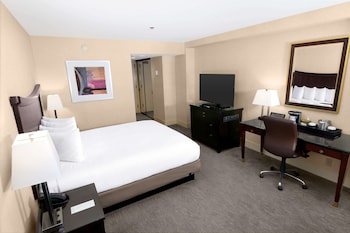 Room, 1 King Bed with Sofa bed