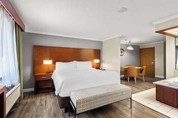 Suite, 1 King Bed, Non Smoking, Jetted Tub (with Sofabed)