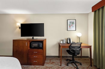 Standard Room, 1 King Bed, Non Smoking, Refrigerator & Microwave (Larger Room;with Sofabed)