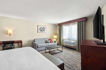 Suite, 1 King Bed, Non Smoking, Jetted Tub (with Sofabed)
