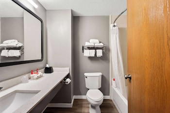 Standard Room, 1 King Bed, Non Smoking, Refrigerator & Microwave (Larger Room;with Sofabed)