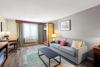 Standard Room, 1 King Bed, Non Smoking, Refrigerator & Microwave (Larger Room;with Sofabed)