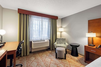 Standard Room, 1 Queen Bed, Accessible, Refrigerator & Microwave