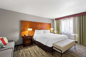 Standard Room, 1 King Bed, Non Smoking, Balcony (with Sofabed)