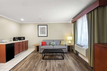 Suite, 1 King Bed, Non Smoking, Jetted Tub (with Sofabed)