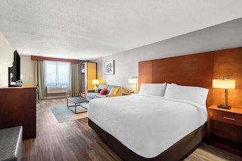 Standard Room, 1 King Bed, Non Smoking, Refrigerator & Microwave (Larger Room;with Sofabed)