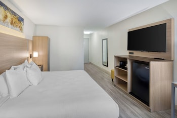 Standard Room, 1 King Bed, Accessible, Bathtub