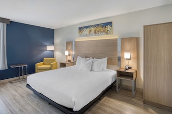 Standard Room, 1 King Bed, Accessible, Bathtub