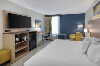 Standard Room, 1 King Bed, Accessible, Bathtub