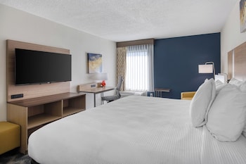 Standard Room, 1 King Bed, Non Smoking