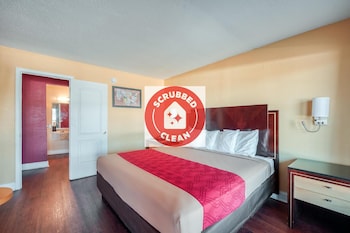 Room, 1 King Bed
