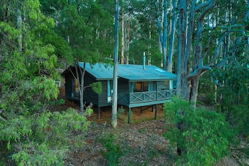 Three Bedrooms Chalet - Forest View