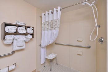 One King Bed Non-Smoking Roll In Shower