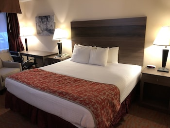 Standard Room, 1 King Bed, Non Smoking