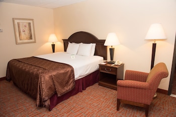 Standard Room, 1 King Bed, Accessible, Non Smoking