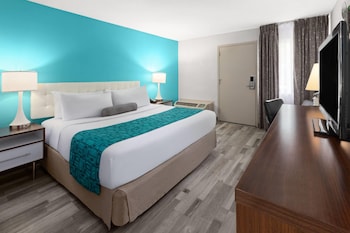 Room, 1 King Bed, Non Smoking