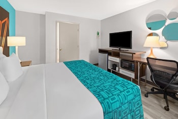 Room, 1 King Bed, Accessible, Non Smoking (Bathtub w/ Grab Bars)