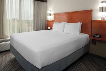 Room, 1 King Bed, Accessible, Bathtub