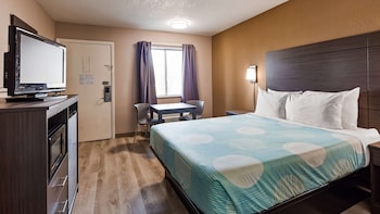 Standard Room, 1 Queen Bed, Smoking, Refrigerator & Microwave