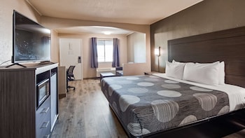 Standard Room, 1 King Bed with Sofa bed, Non Smoking, Refrigerator & Microwave (with Sofabed)