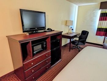Room, 1 King Bed, Smoking