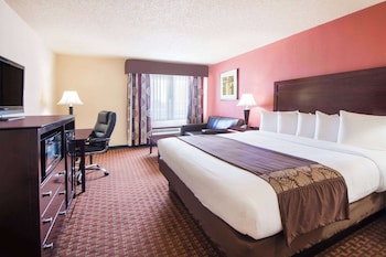 Room, 1 King Bed, Smoking