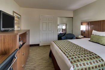 Room, 1 Queen Bed, Accessible, Non Smoking