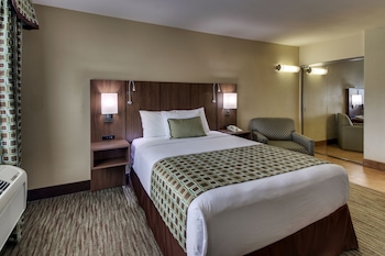 Standard Room, 1 Queen Bed, Non Smoking, Refrigerator