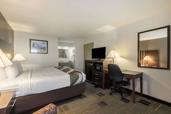 Room, 1 King Bed, Accessible, Non Smoking