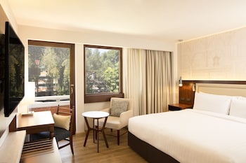 Deluxe Room, 1 King Bed