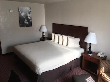 Standard Room, 1 King Bed, Non Smoking