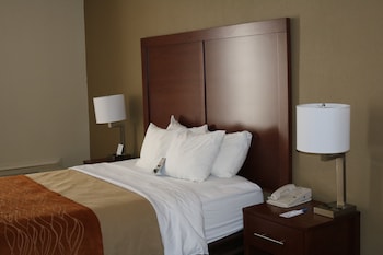 Standard Double Room, 2 Double Beds, Non Smoking