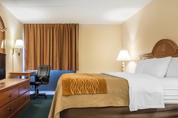 Standard Room, 1 King Bed, Non Smoking