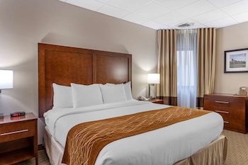 Room, 1 King Bed, Accessible, Non Smoking (Roll-In Shower)