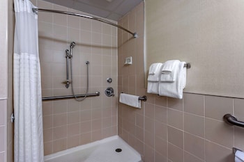 Room, 1 King Bed, Accessible, Non Smoking (Roll-In Shower)