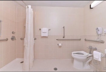 Room, 1 King Bed, Accessible, Non Smoking (Roll-In Shower)